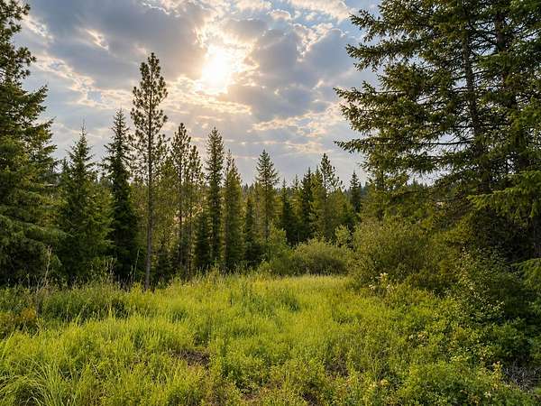 20 Acres of Recreational & Residential Land for Sale in Inchelium, Washington