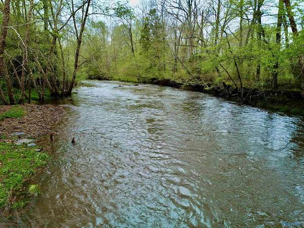 21 Acres of Agricultural Land for Sale in New Market, Alabama