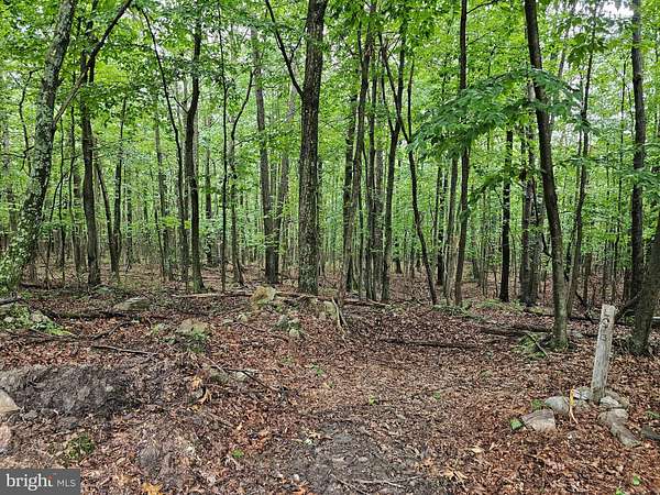 6.18 Acres of Residential Land for Sale in Hedgesville, West Virginia
