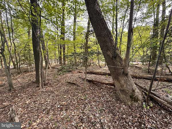 0.43 Acres of Land for Sale in Montross, Virginia