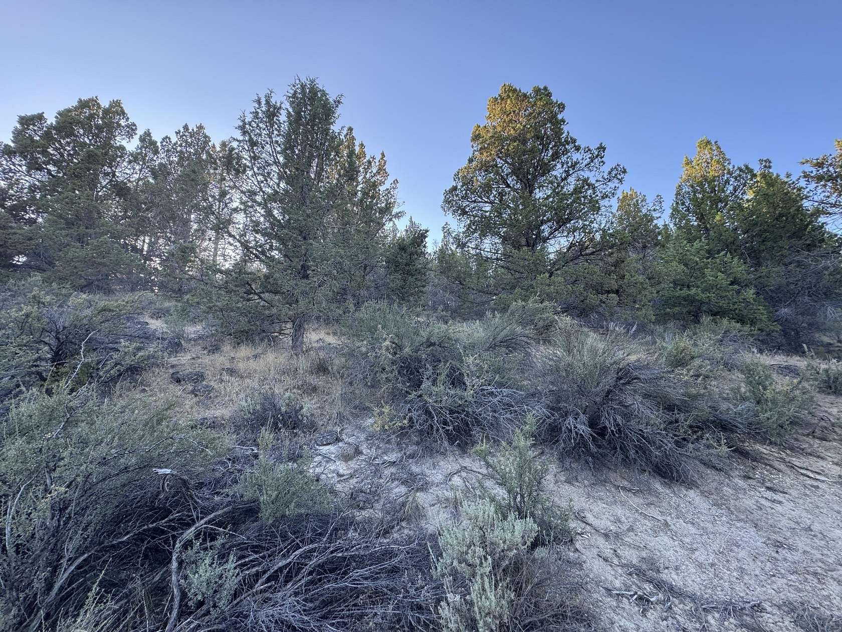 2 Acres of Residential Land for Sale in Sprague River, Oregon