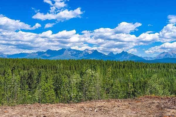 114 Acres of Recreational Land for Sale in Polebridge, Montana