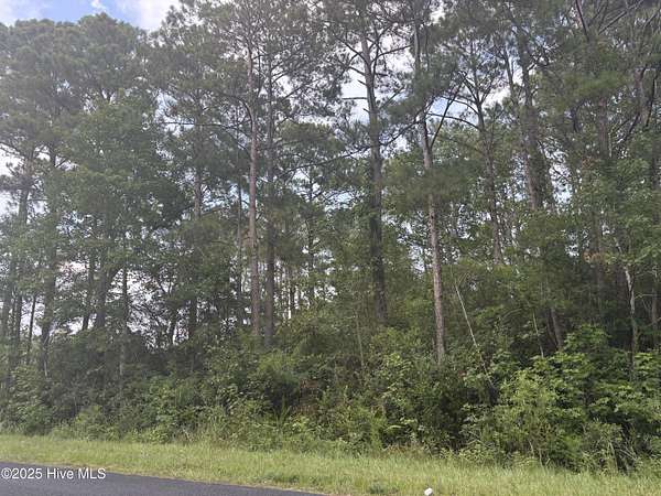 0.45 Acres of Residential Land for Sale in Supply, North Carolina