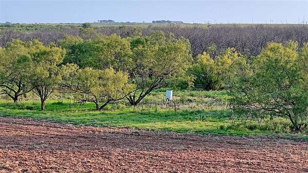 208 Acres of Recreational Land & Farm for Sale in Henrietta, Texas