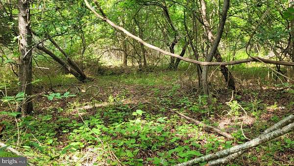 2.58 Acres of Residential Land for Sale in Deal Island, Maryland