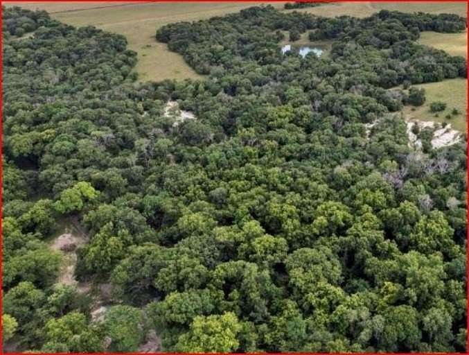 238 Acres of Recreational Land & Farm for Sale in Italy, Texas