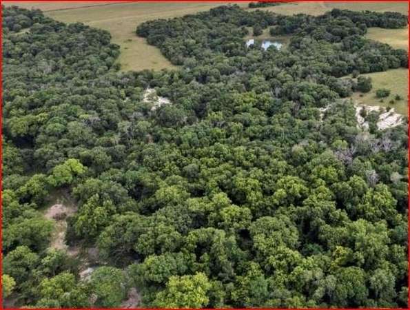 238 Acres of Recreational Land & Farm for Sale in Italy, Texas