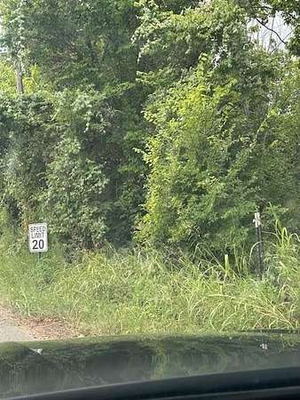 3.28 Acres of Mixed-Use Land for Sale in Fairfield, Texas