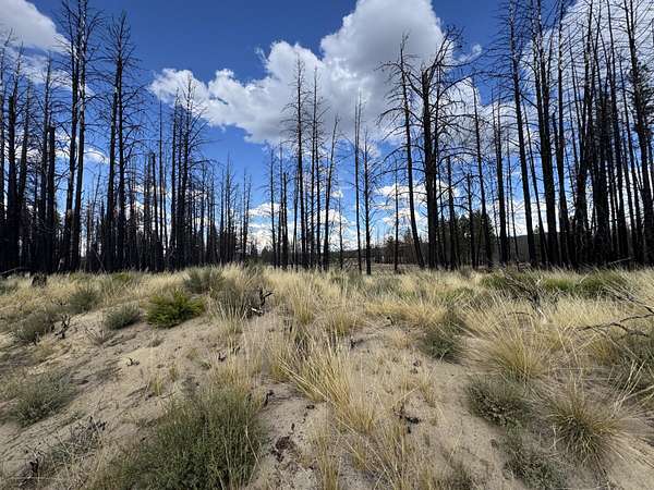 9.86 Acres of Residential Land for Sale in Beatty, Oregon