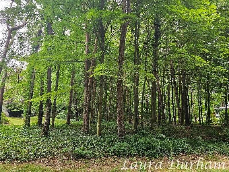 0.46 Acres of Land for Sale in Saugatuck, Michigan