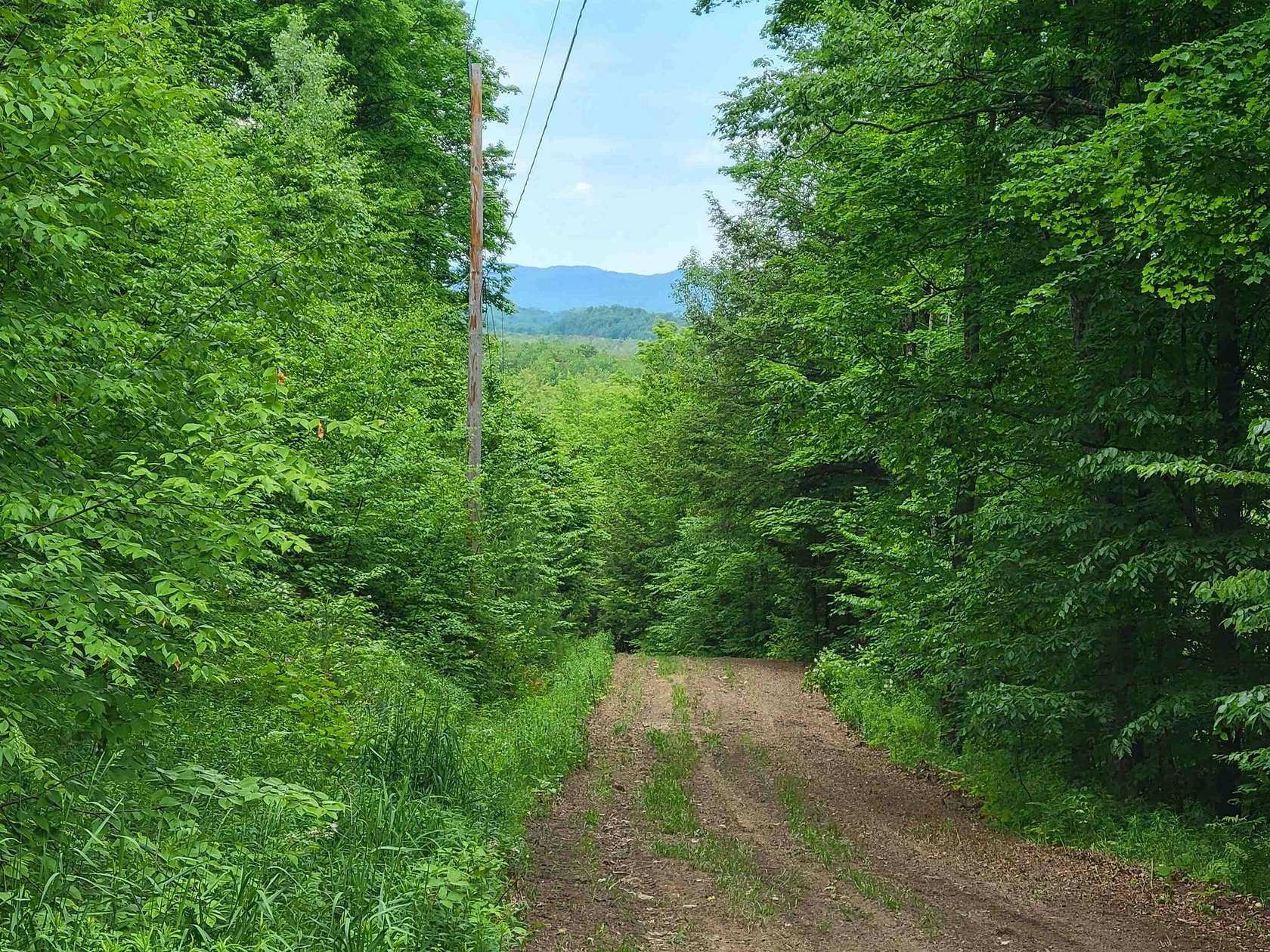 32.7 Acres of Land for Sale in Monkton Town, Vermont