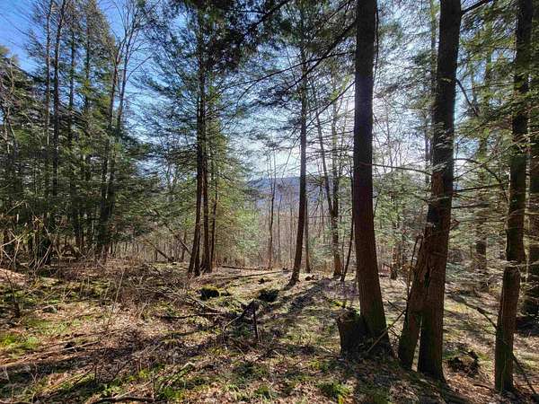 16.3 Acres of Land for Sale in Monkton Town, Vermont