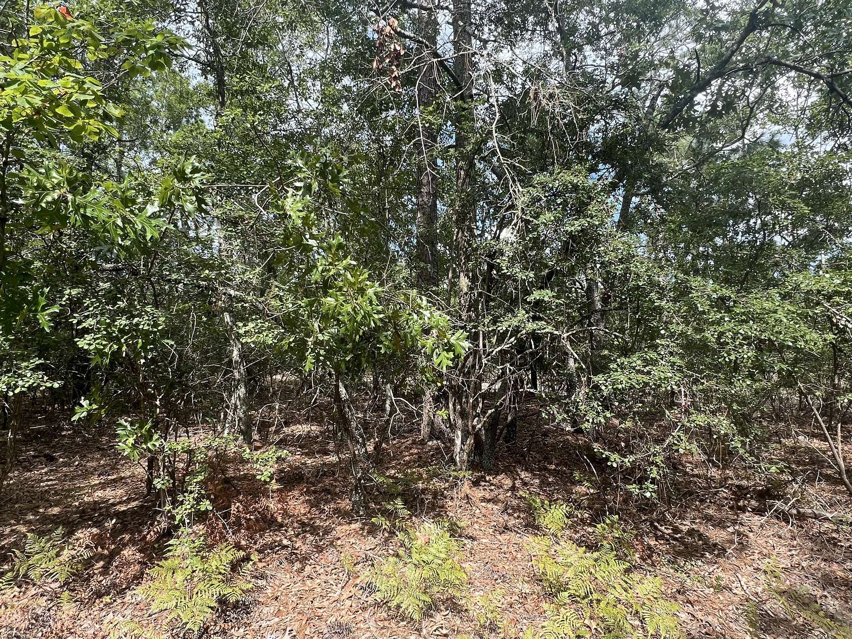 0.96 Acres of Residential Land for Sale in Beech Island, South Carolina