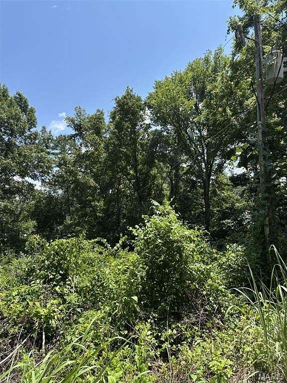 0.36 Acres of Residential Land for Sale in Van Buren, Missouri