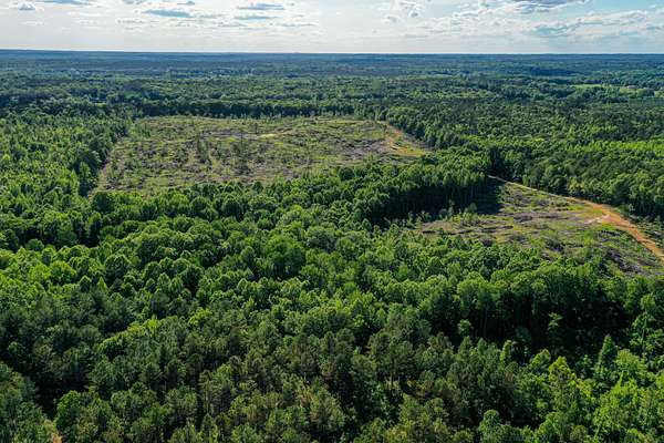 79.5 Acres of Recreational Land for Sale in Thaxton, Mississippi