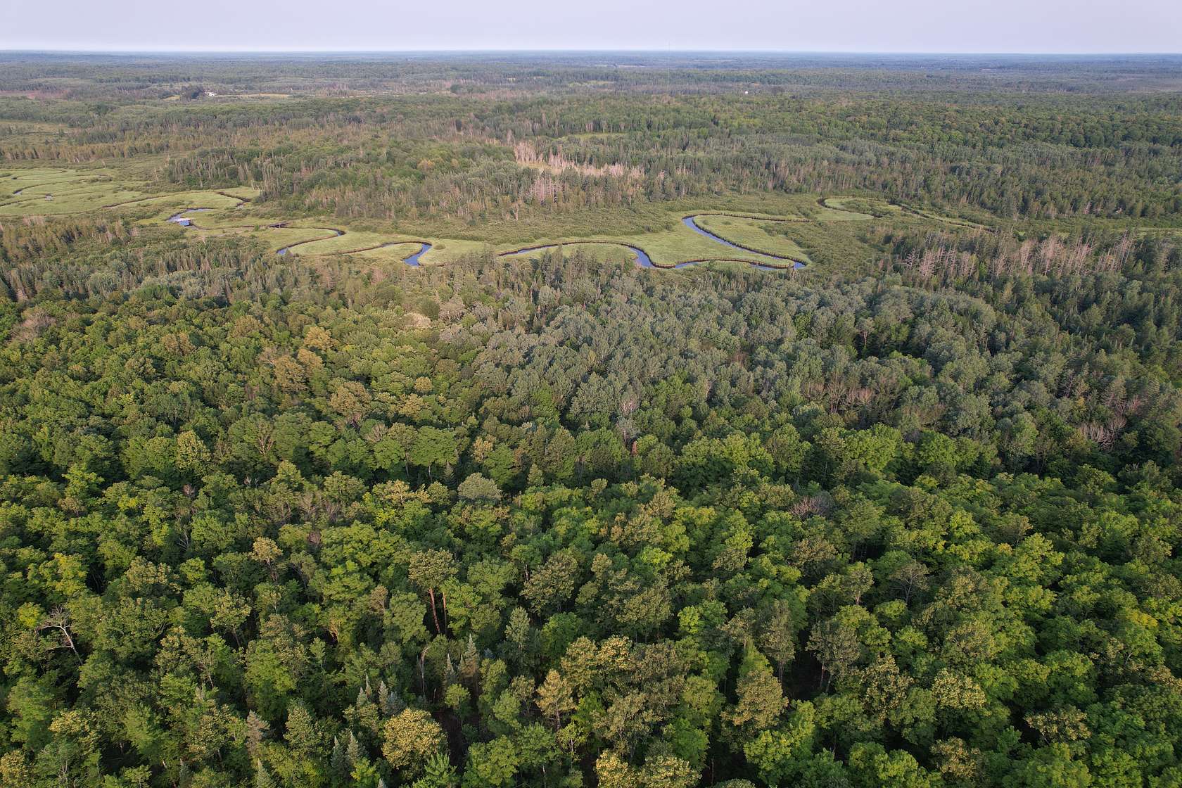 30 Acres of Land for Sale in Butternut, Wisconsin