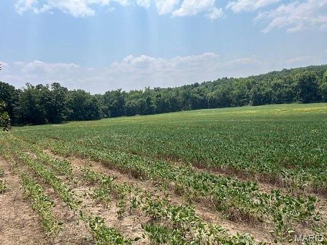 56 Acres of Agricultural Land for Sale in Bland, Missouri