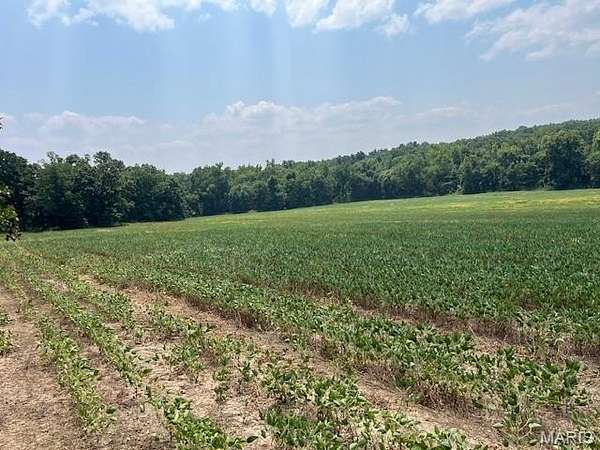 56 Acres of Agricultural Land for Sale in Bland, Missouri