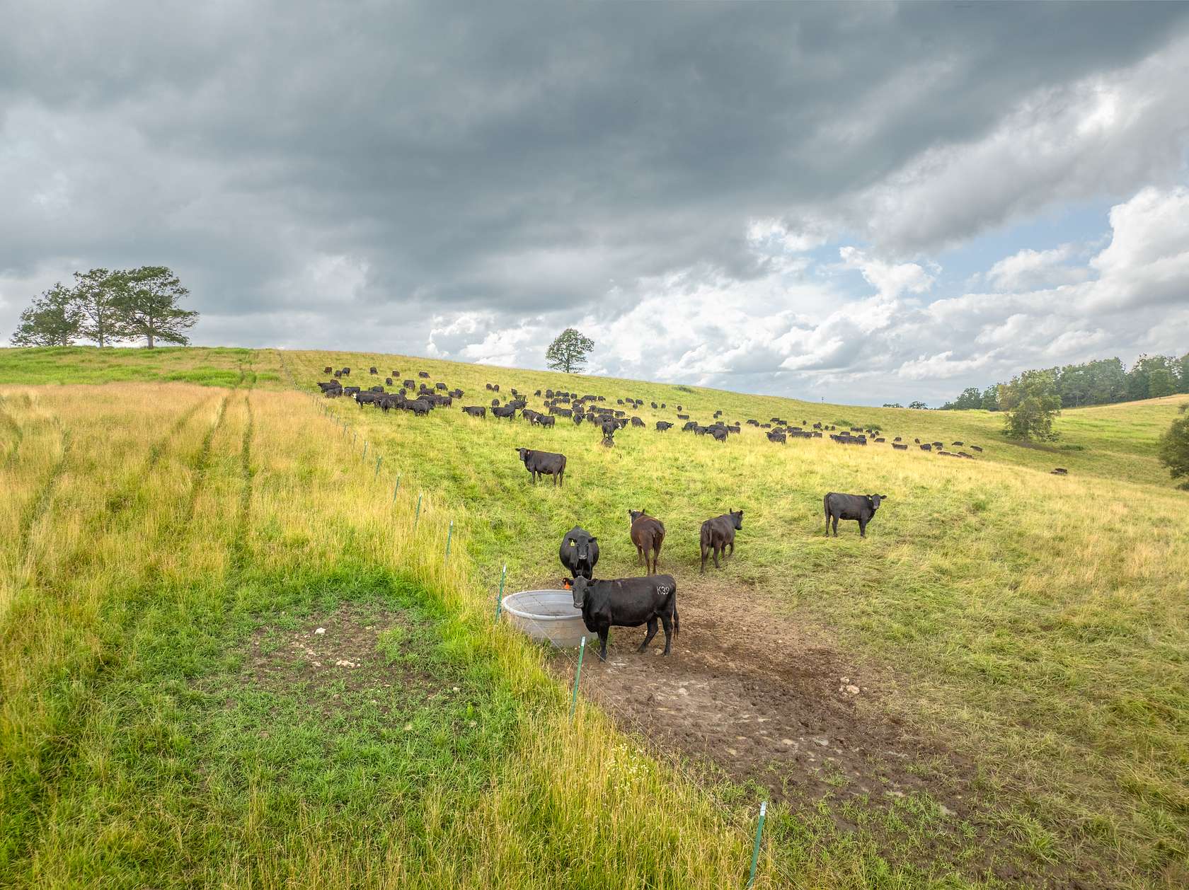 1,125 Acres of Land with Home for Sale in Ava, Missouri