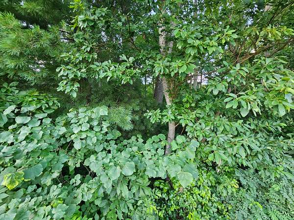 1 Acre of Land for Sale in Bristol, Virginia