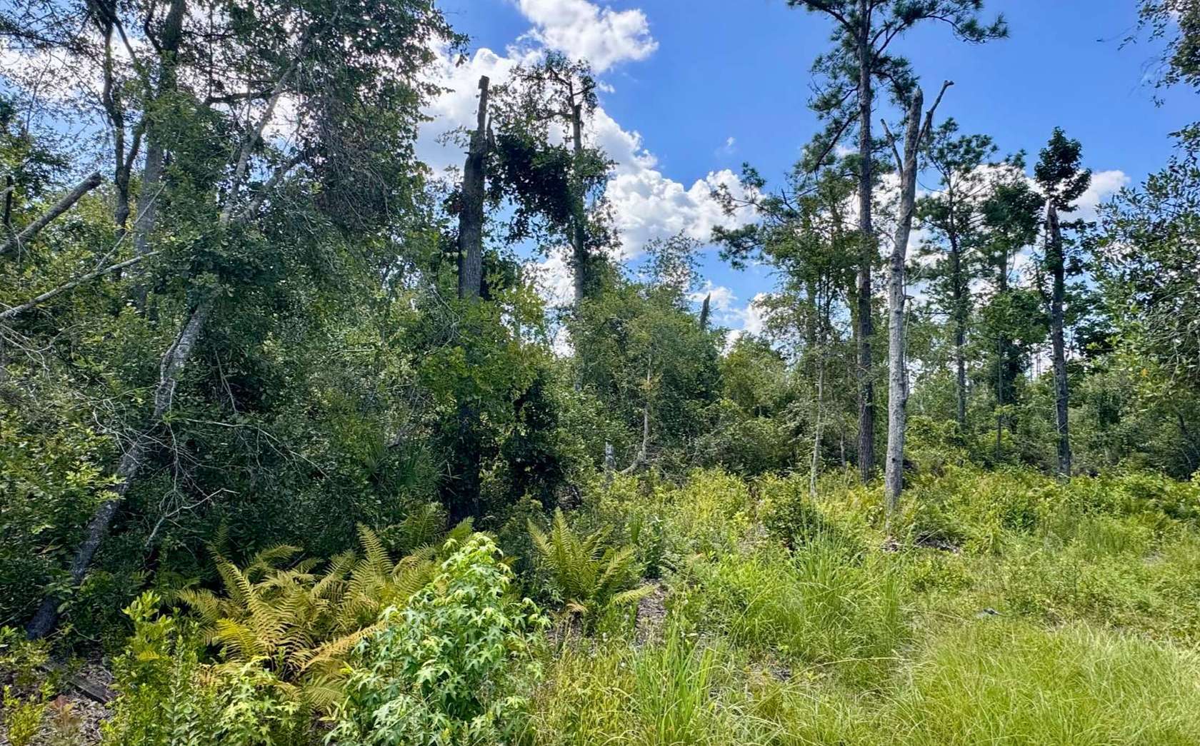 3.12 Acres of Land for Sale in Jennings, Florida