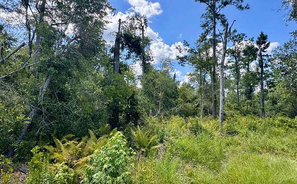 3.12 Acres of Land for Sale in Jennings, Florida