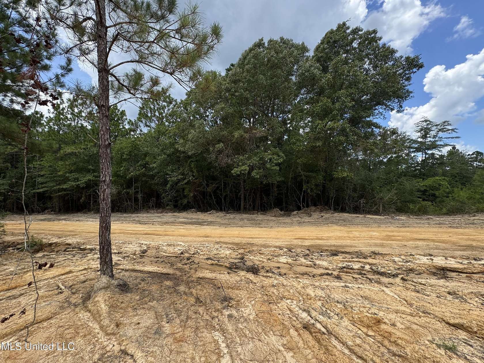 3.7 Acres of Land for Sale in McHenry, Mississippi