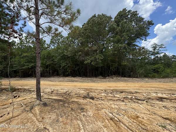 3.7 Acres of Land for Sale in McHenry, Mississippi