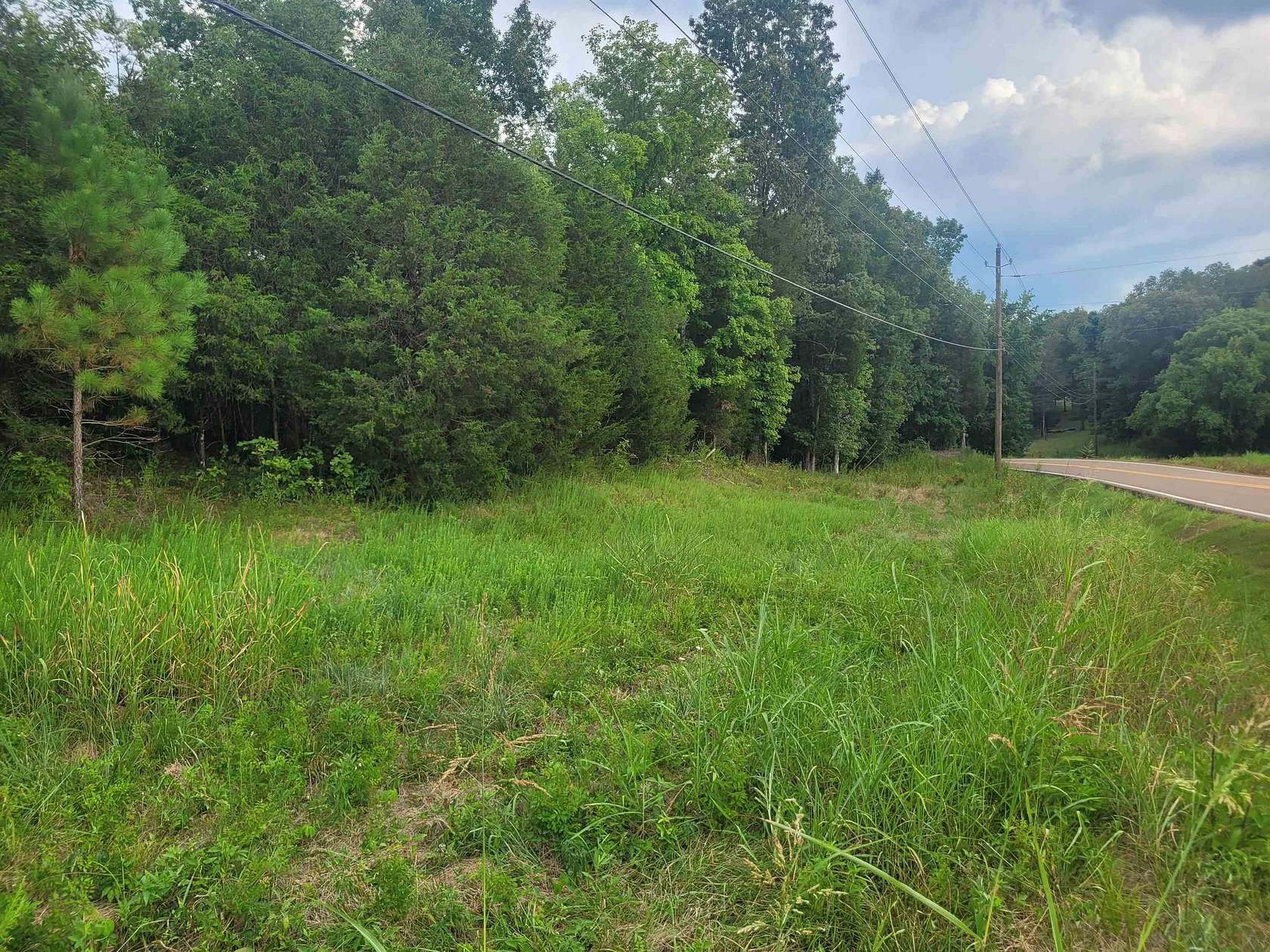 51.8 Acres of Land for Sale in Clifton, Tennessee