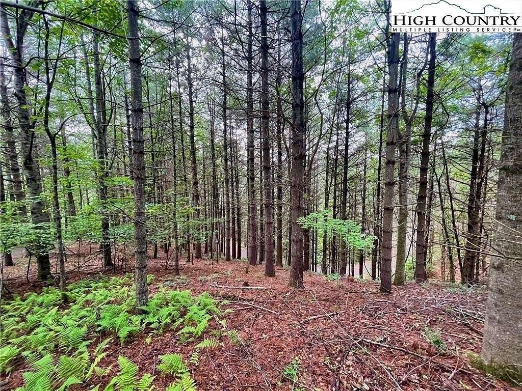 1.14 Acres of Residential Land for Sale in West Jefferson, North Carolina