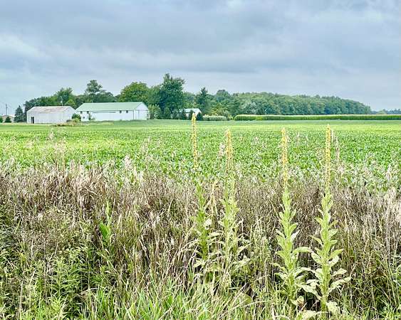 40 Acres of Agricultural Land for Sale in Waldron, Michigan
