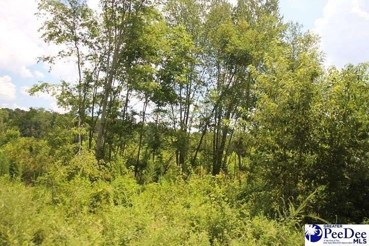 2 Acres of Residential Land for Sale in Chesterfield, South Carolina