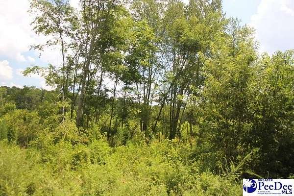 2 Acres of Residential Land for Sale in Chesterfield, South Carolina