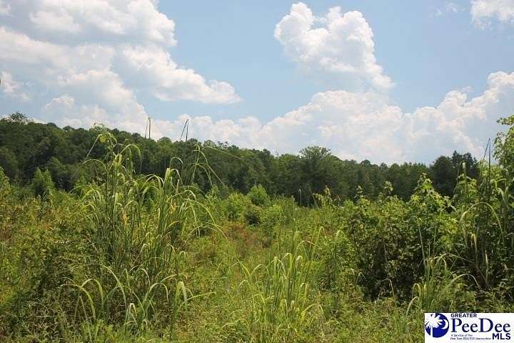 2 Acres of Residential Land for Sale in Chesterfield, South Carolina