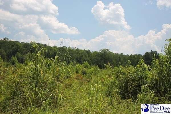 2 Acres of Residential Land for Sale in Chesterfield, South Carolina