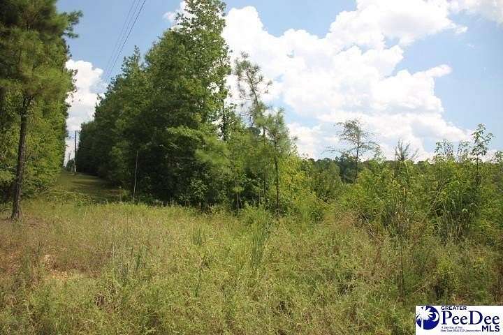 2.32 Acres of Residential Land for Sale in Chesterfield, South Carolina