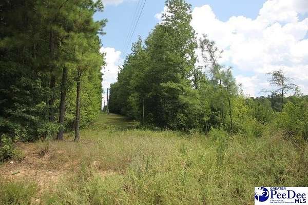 2.72 Acres of Residential Land for Sale in Chesterfield, South Carolina