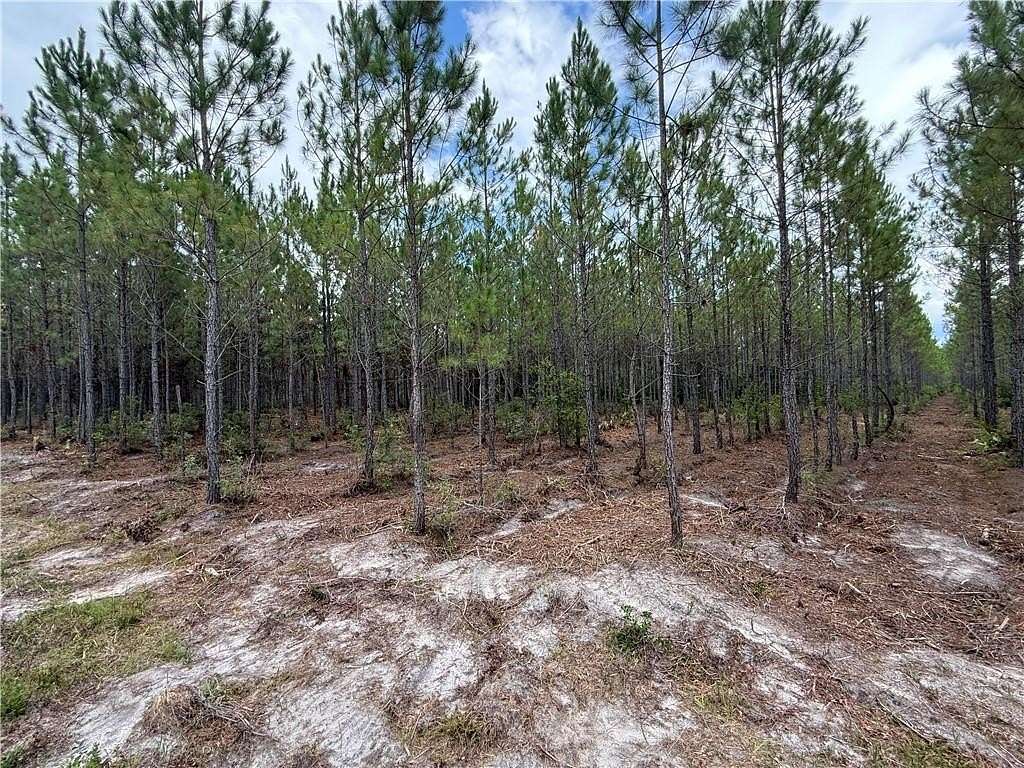 6.37 Acres of Agricultural Land for Sale in Manor, Georgia