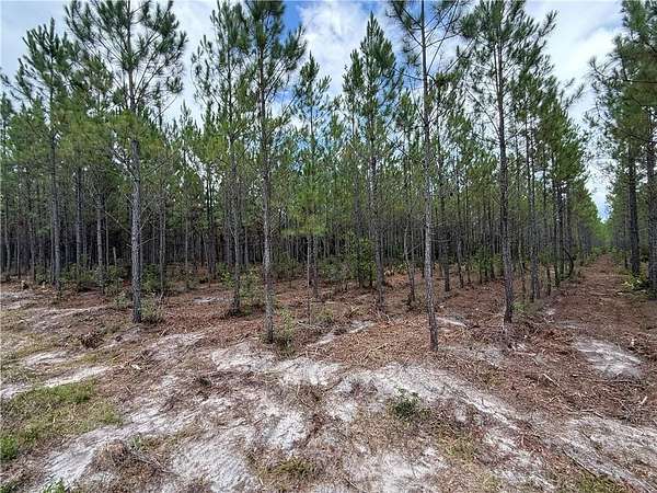 6.37 Acres of Agricultural Land for Sale in Manor, Georgia