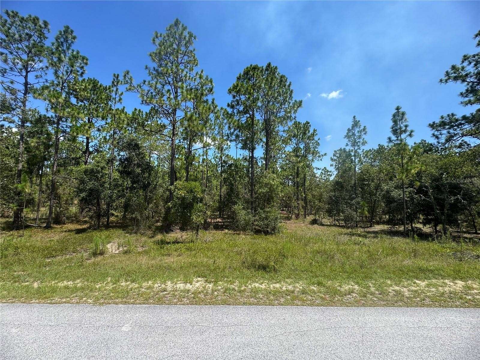 1 Acre of Residential Land for Sale in Dunnellon, Florida
