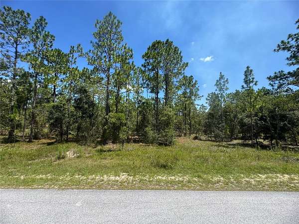 1 Acre of Residential Land for Sale in Dunnellon, Florida