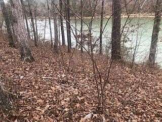 Land for Sale in Double Springs, Alabama