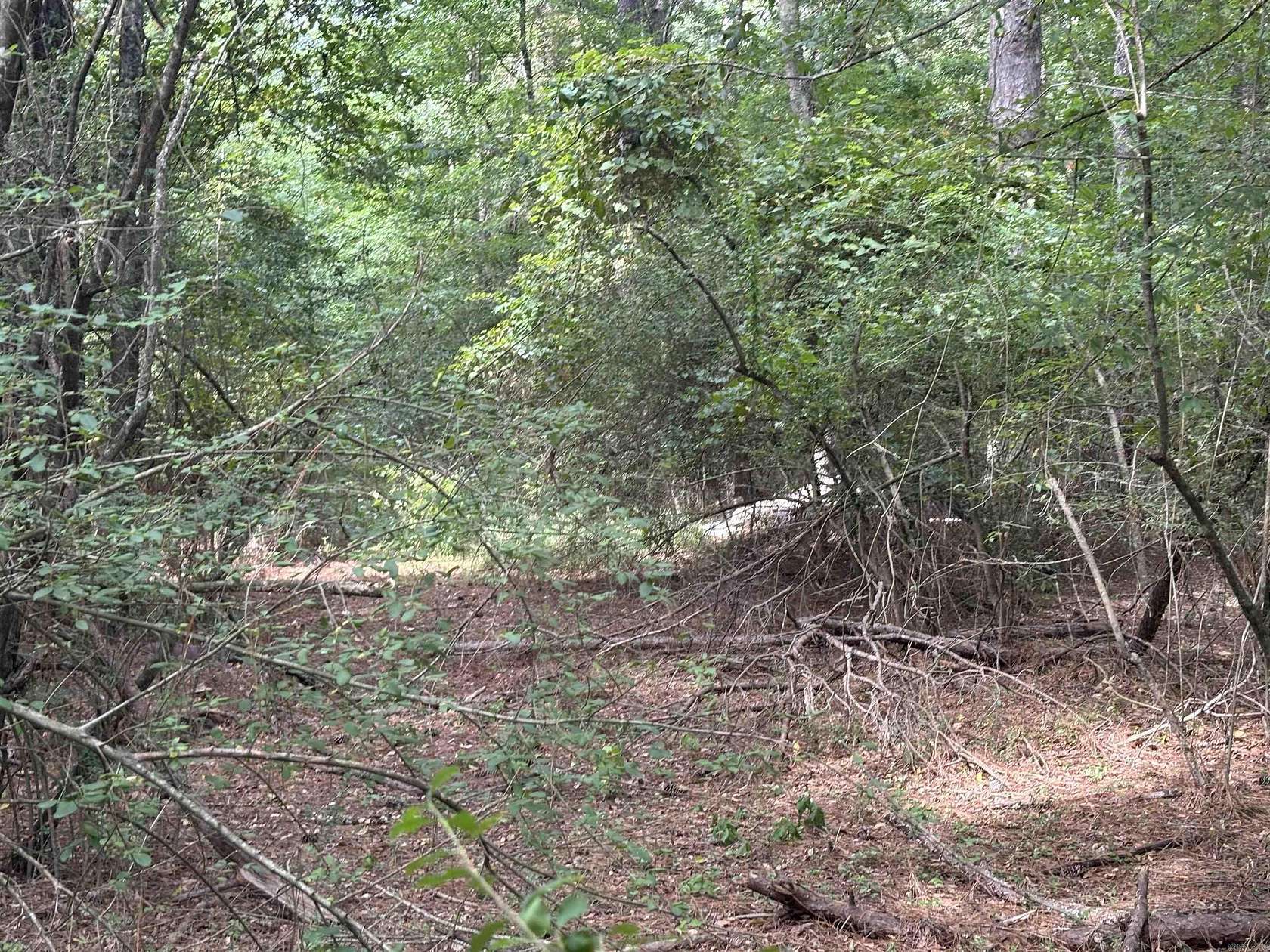 32.3 Acres of Commercial Land for Sale in Sheridan, Arkansas