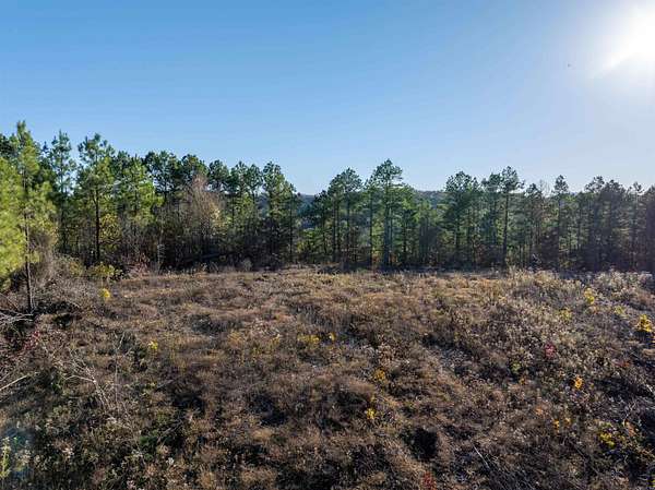 17.5 Acres of Land for Sale in Mena, Arkansas