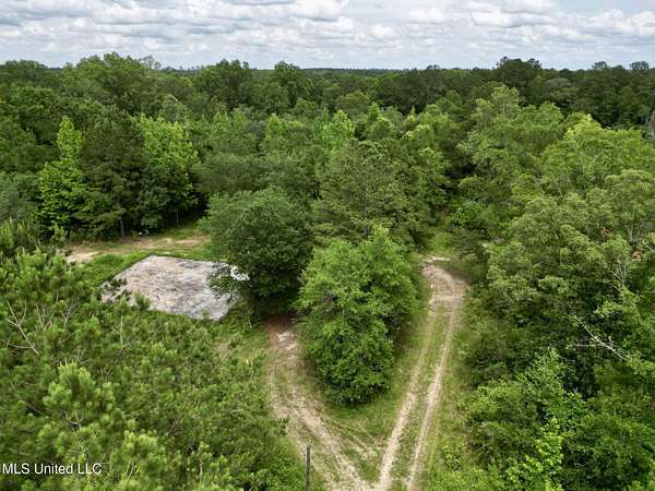 18.2 Acres of Recreational Land for Sale in Poplarville, Mississippi