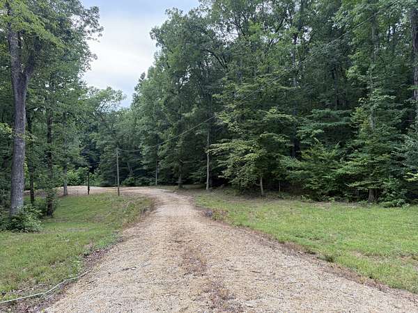 44 Acres of Recreational Land for Sale in Bath Springs, Tennessee