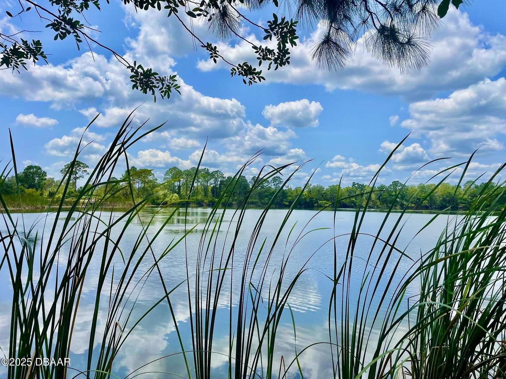 3 Acres of Residential Land for Sale in Mims, Florida