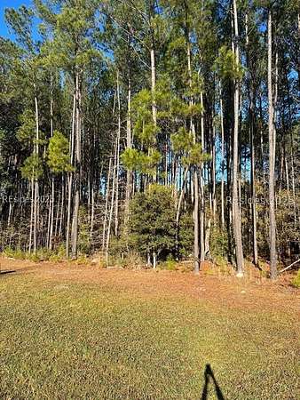 Residential Land for Sale in Yemassee, South Carolina