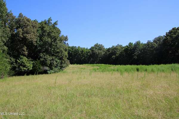 107 Acres of Land for Sale in Lexington, Mississippi