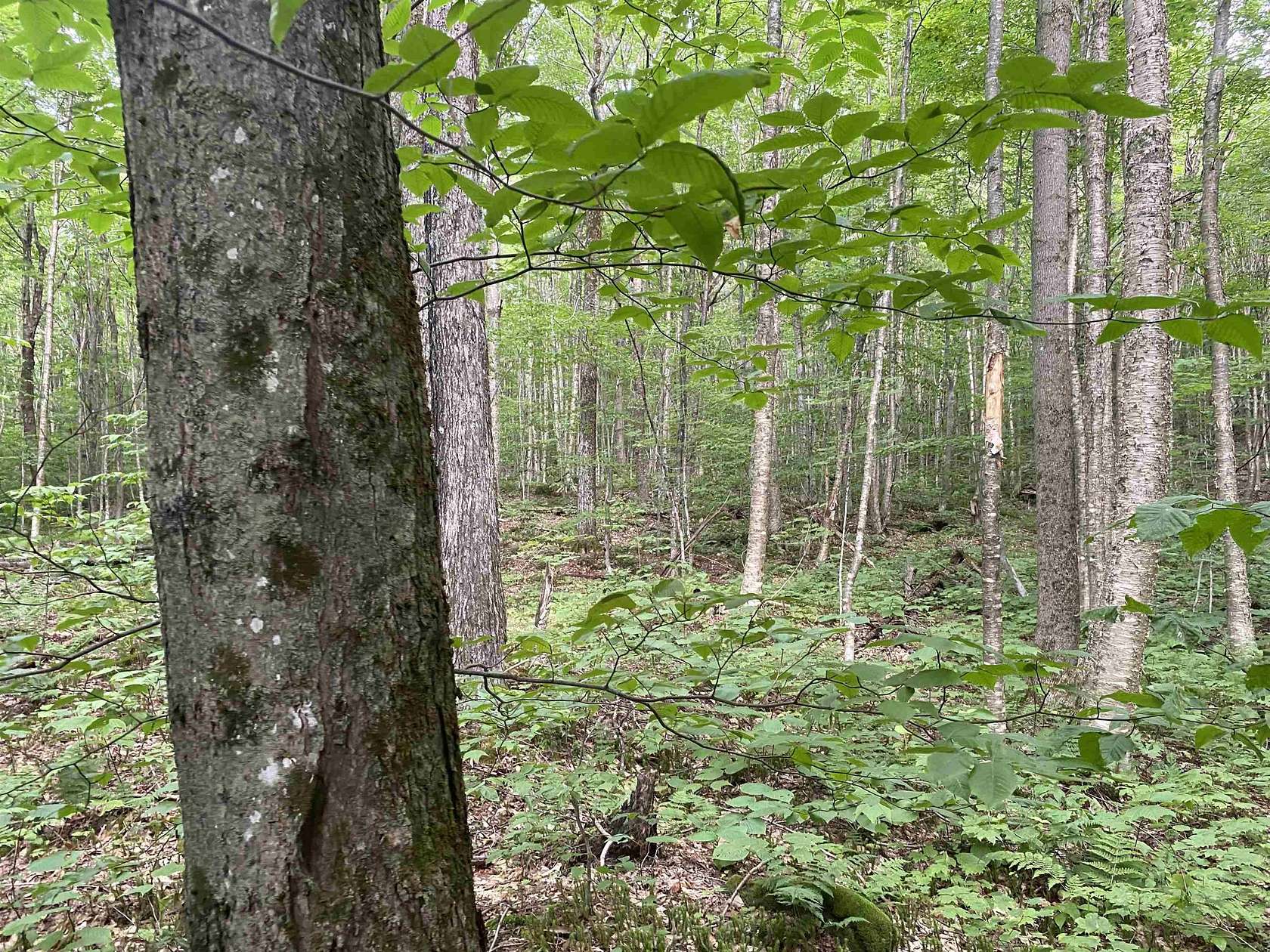 59 Acres of Recreational Land for Sale in Jay, Vermont